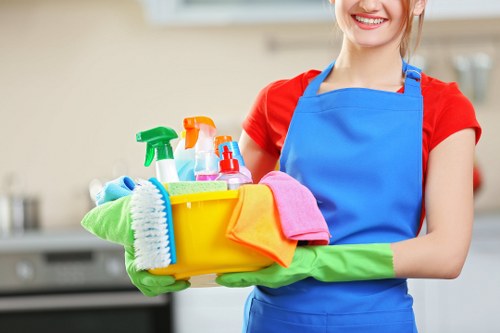 Professional upholstery cleaning for sofas in Waterloo homes