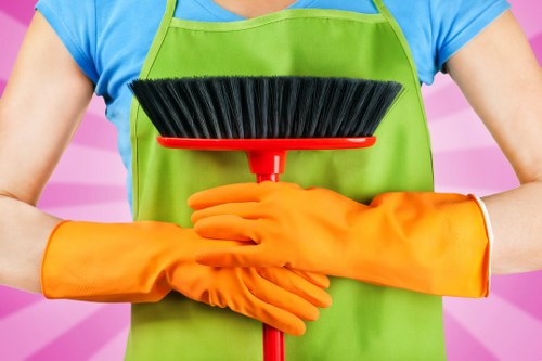 Professional cleaners working in a Waterloo home interior