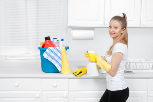 Modern cleaners in Waterloo keeping a bright room spotless