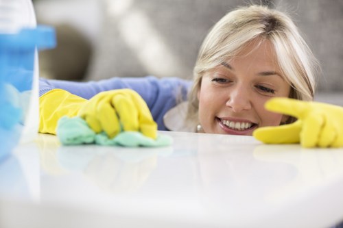 Pet stain odour removal for a Waterloo condo or rental property