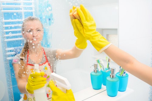 Detailed kitchen and bathroom cleaning after renovation in Waterloo